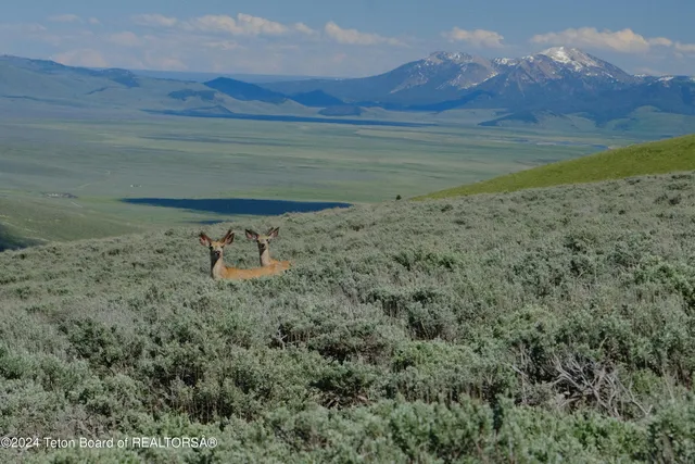 $6,350,000 | North Valley Road, Lima, MT 59739