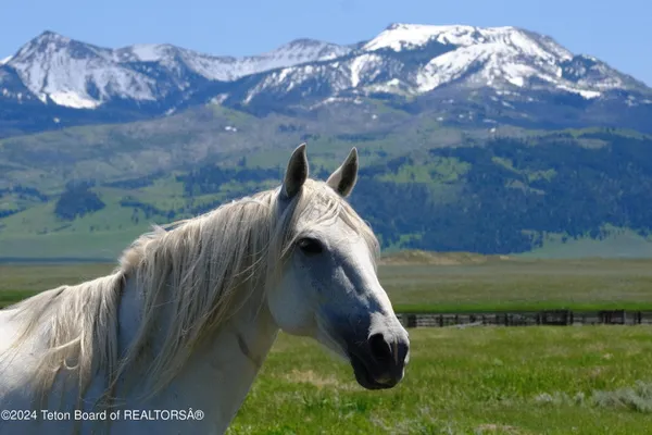 $6,350,000 | North Valley Road, Lima, MT 59739