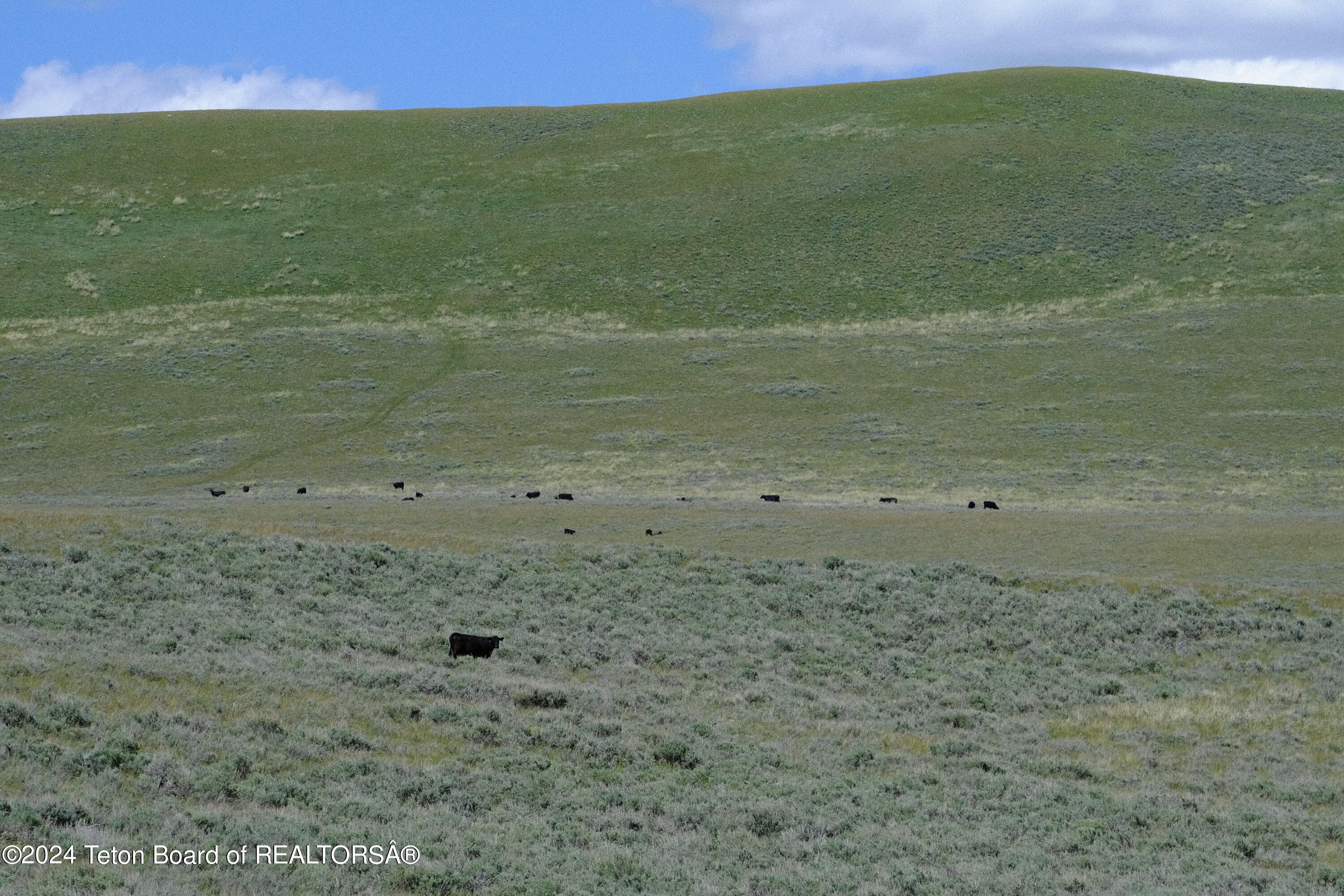 North Valley Road Lima, MT 59739 - Photo 5 of 35 DSCF0045