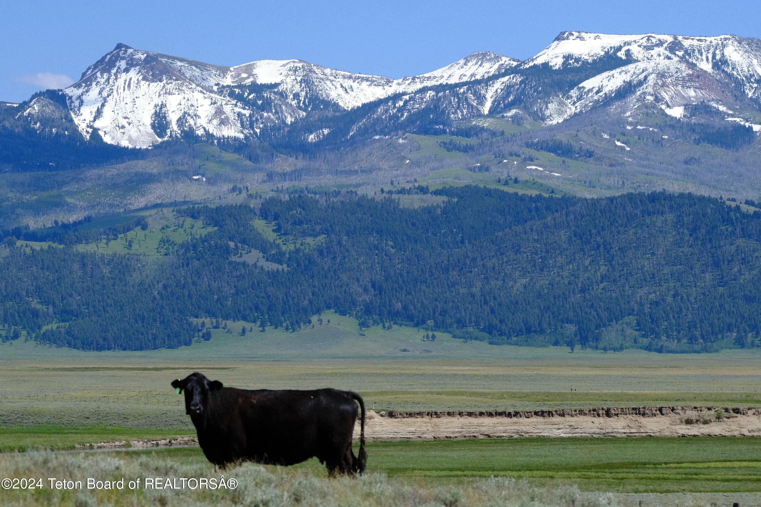 North Valley Road Lima, MT 59739 - Photo 7 of 35 DSCF0053