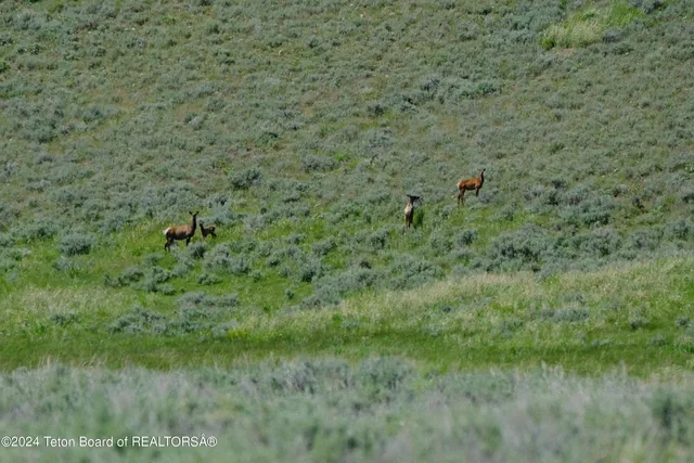 $6,350,000 | North Valley Road, Lima, MT 59739