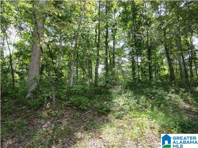 115 County Road 1068, Unit 2 Verbena, AL 36091 - Photo 11 of 12