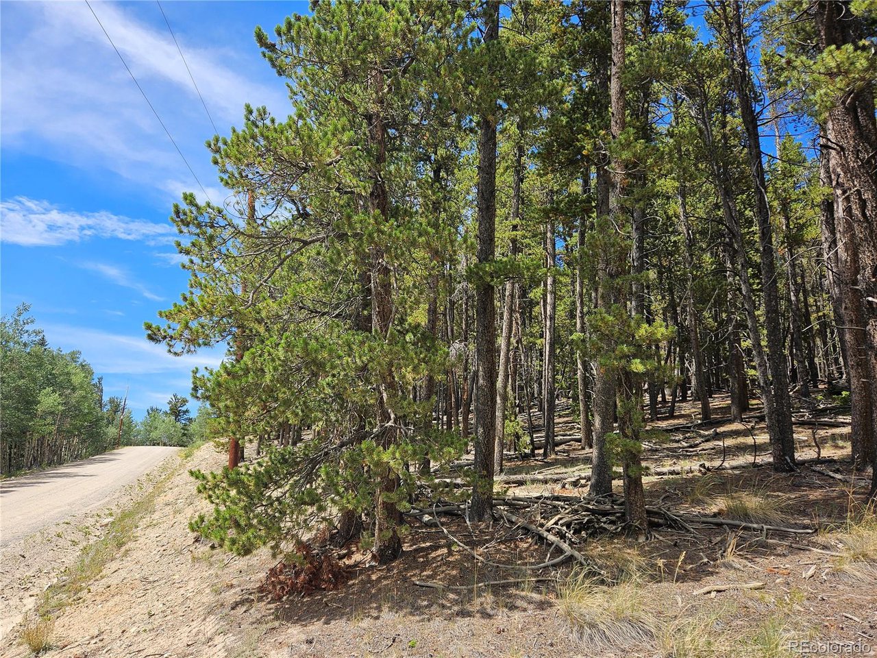 44083 Co Road Alma, CO 80420 - Photo 11 of 41 Gallery Image 11