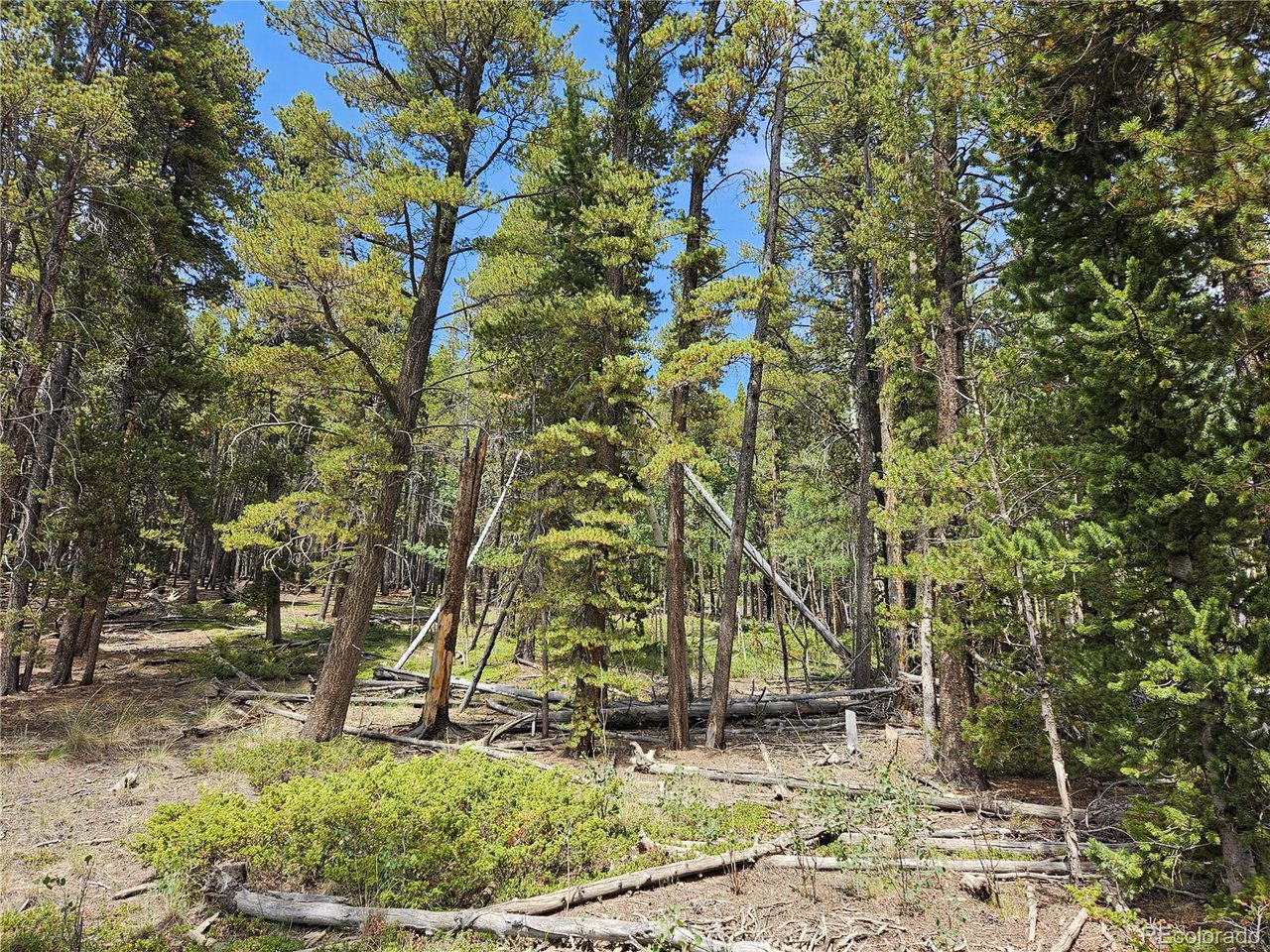 44083 Co Road Alma, CO 80420 - Photo 12 of 41 Gallery Image 12