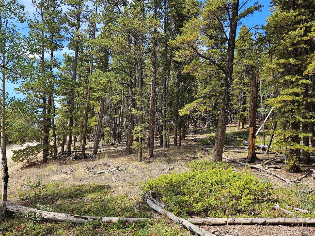 44083 Co Road Alma, CO 80420 - Photo 13 of 41 Gallery Image 13