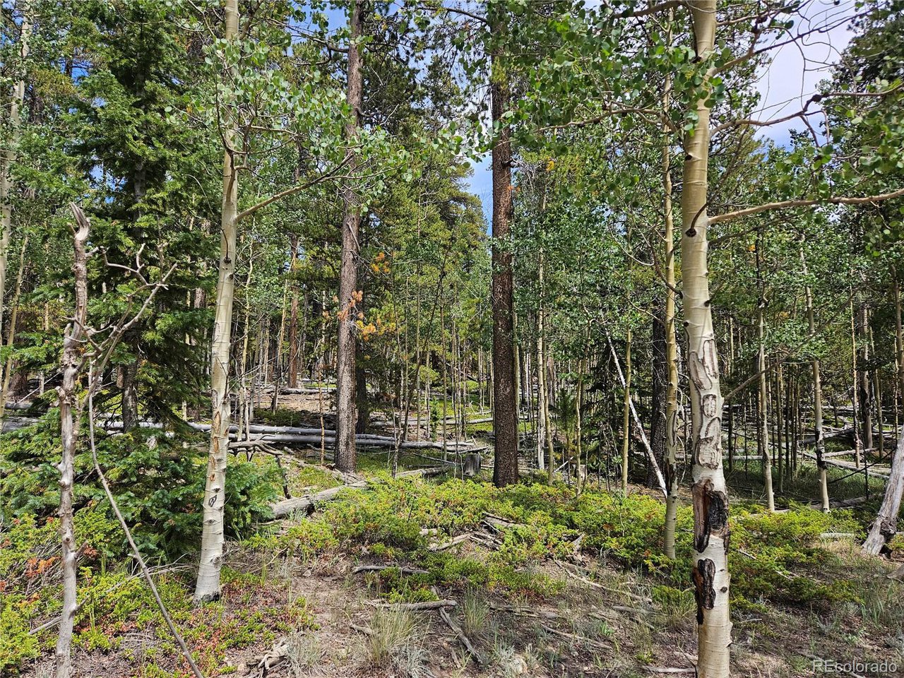44083 Co Road Alma, CO 80420 - Photo 14 of 41 Gallery Image 14