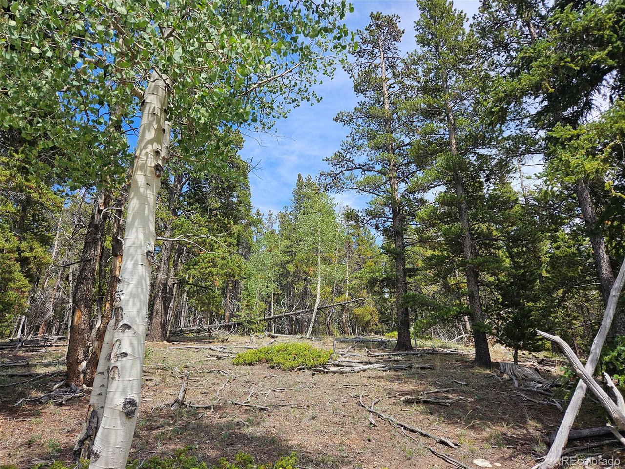 44083 Co Road Alma, CO 80420 - Photo 20 of 41 Gallery Image 20
