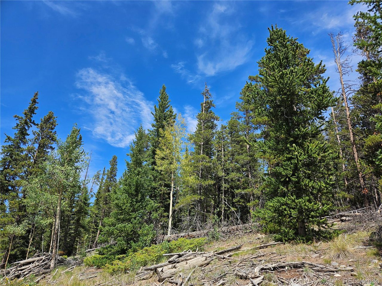 44083 Co Road Alma, CO 80420 - Photo 21 of 41 Gallery Image 21