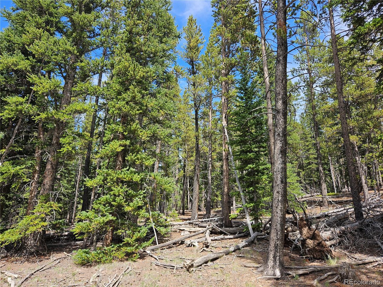 44083 Co Road Alma, CO 80420 - Photo 23 of 41 Gallery Image 23
