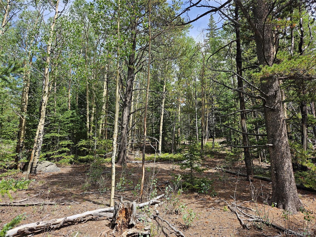 44083 Co Road Alma, CO 80420 - Photo 27 of 41 Gallery Image 27