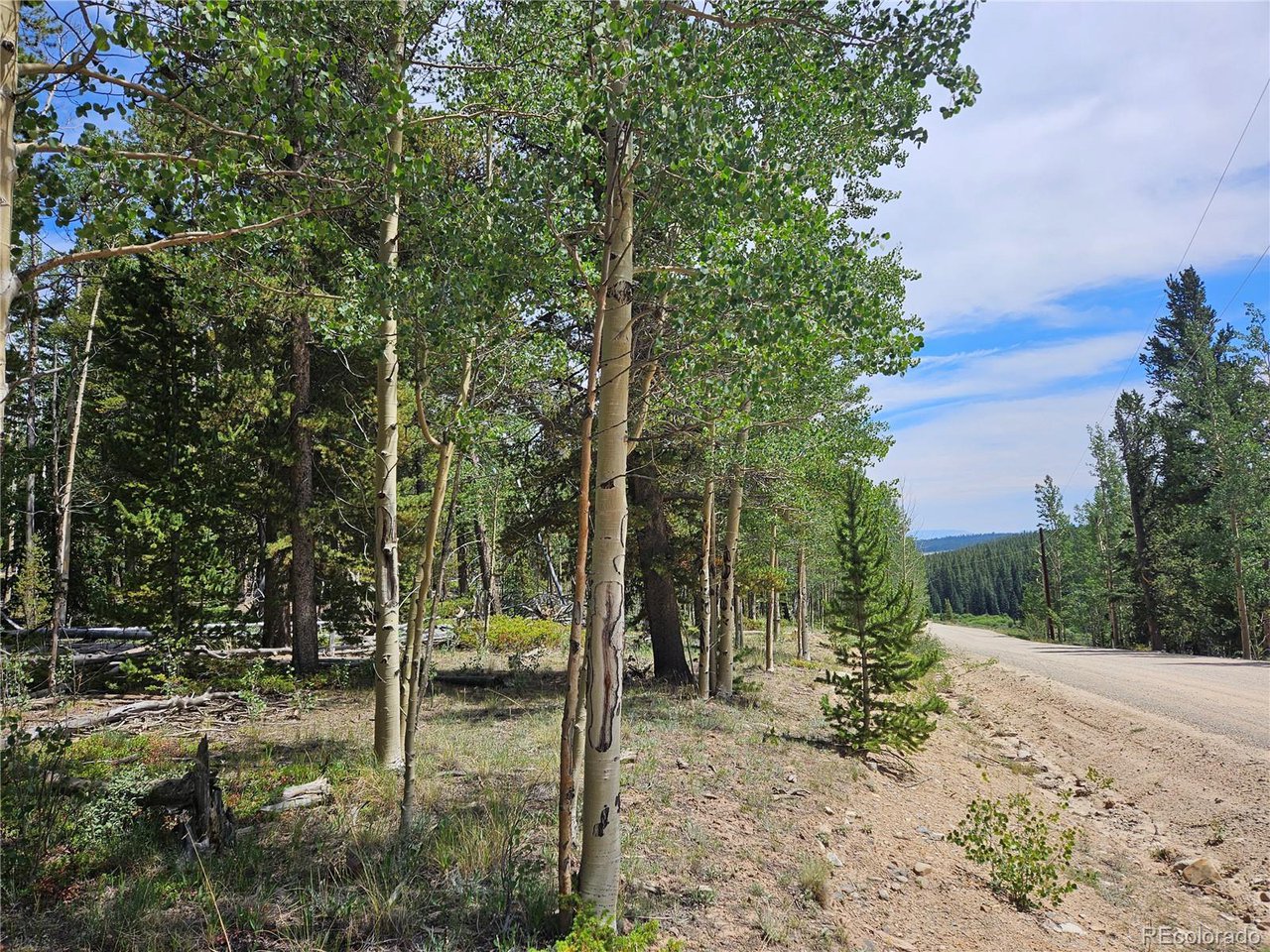 44083 Co Road Alma, CO 80420 - Photo 3 of 41 Gallery Image 3