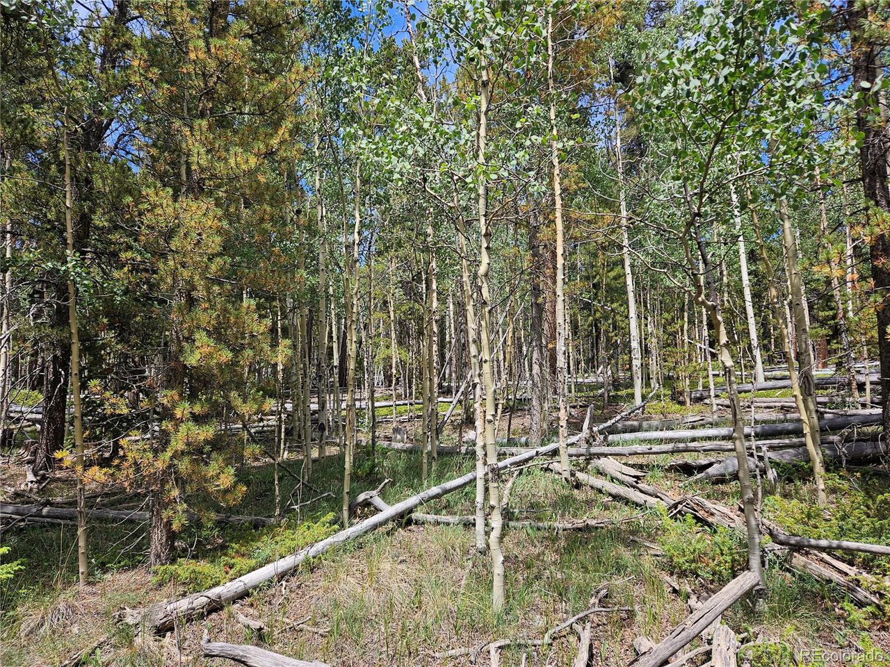 44083 Co Road Alma, CO 80420 - Photo 7 of 41 Gallery Image 7