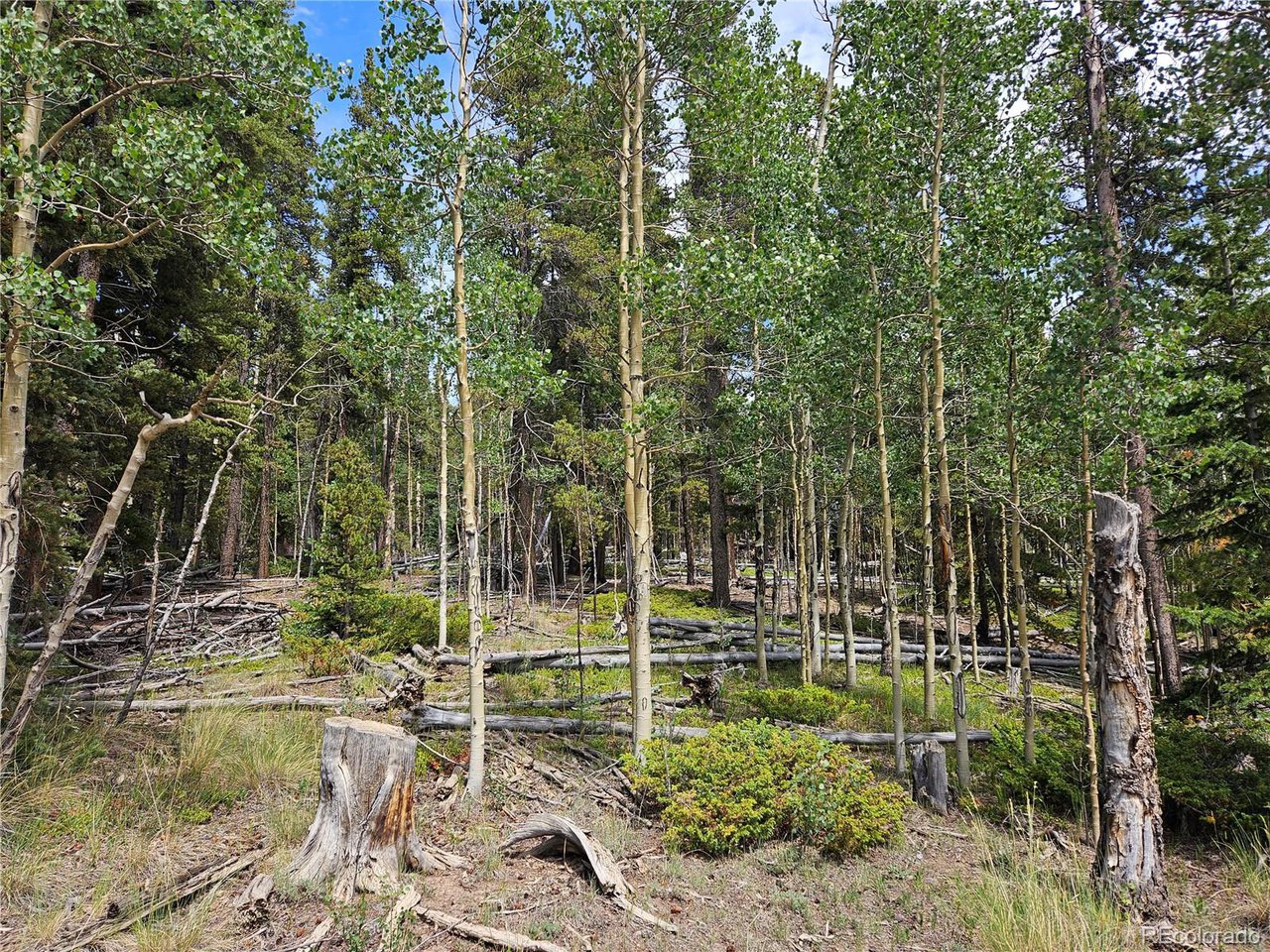 44083 Co Road Alma, CO 80420 - Photo 9 of 41 Gallery Image 9