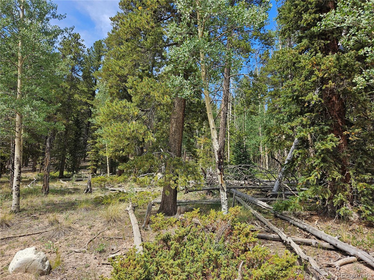 44083 Co Road Alma, CO 80420 - Photo 10 of 41 Gallery Image 10