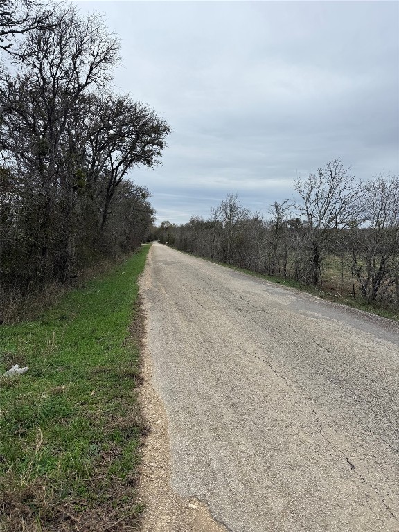 8300 Pettytown Road Red Rock, TX 78662 - Photo 5 of 6 a view of a pathway with a wrought fence