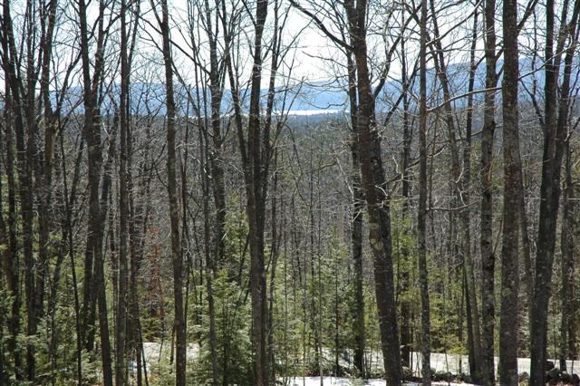 419 North Line Road Wolfeboro, NH 03894 - Photo 21 of 23