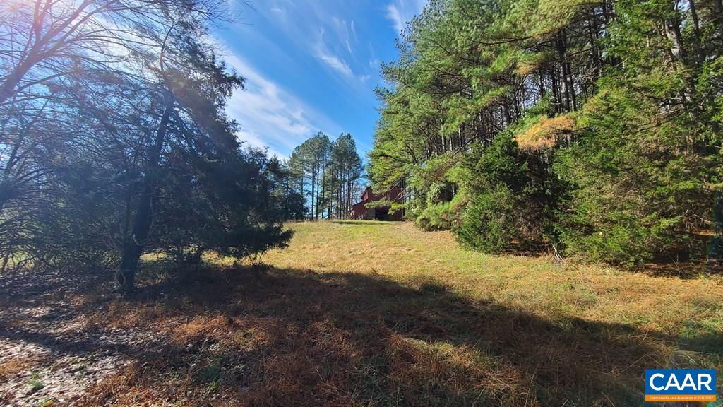 3689 Ranson Road Dillwyn, VA 23936 - Photo 49 of 51 a view of a yard with a tree