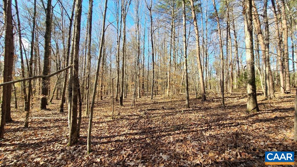 3689 Ranson Road Dillwyn, VA 23936 - Photo 51 of 51 a view of a pathway with a yard