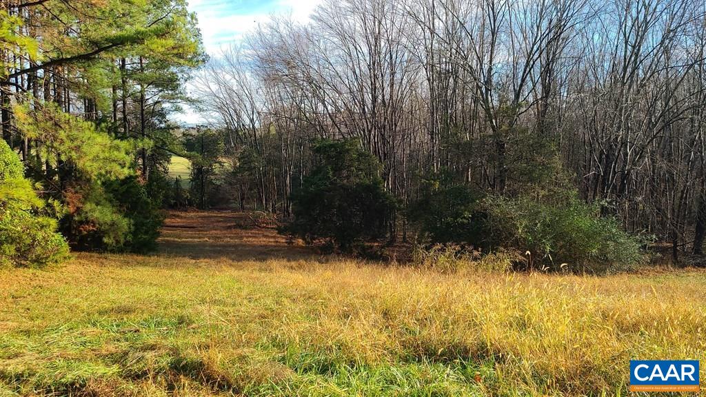 3689 Ranson Road Dillwyn, VA 23936 - Photo 6 of 51 a view of backyard with green space
