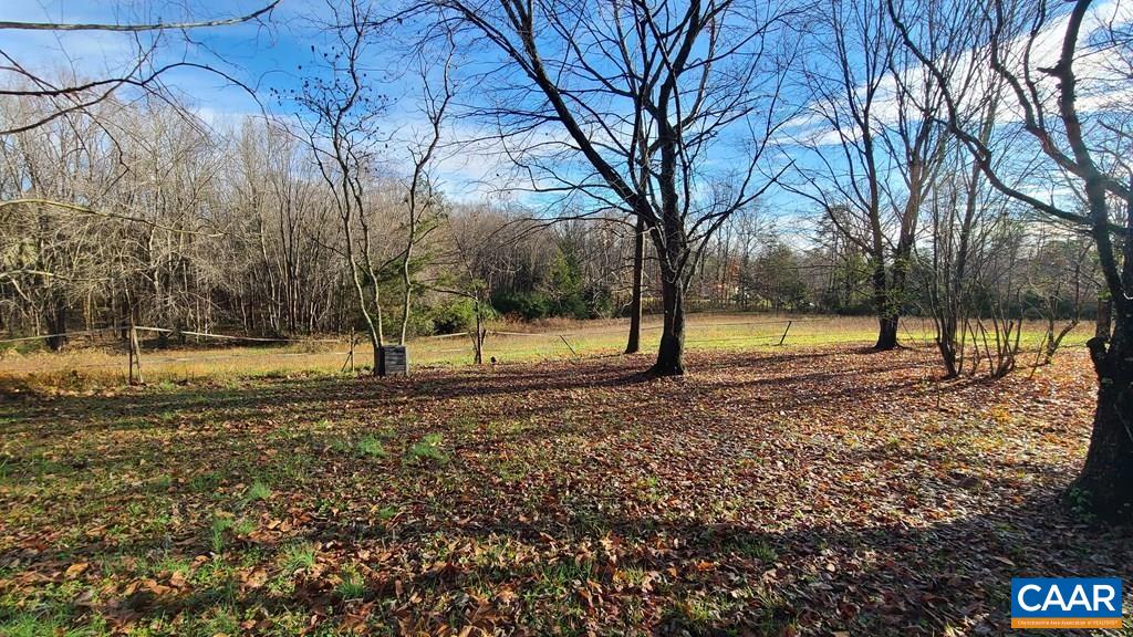 3689 Ranson Road Dillwyn, VA 23936 - Photo 7 of 51 a view of park with tree