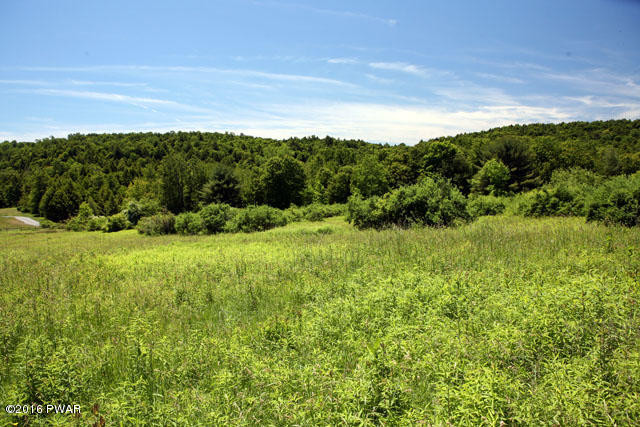 0 Jaketown Road Livingston Manor, NY 12758 - Photo 10 of 16