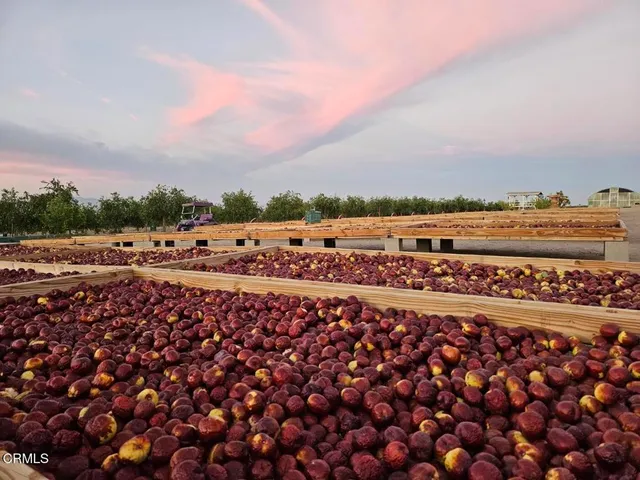 $870,000 | 9125 Mesa Road, Lucerne Valley, CA 92356