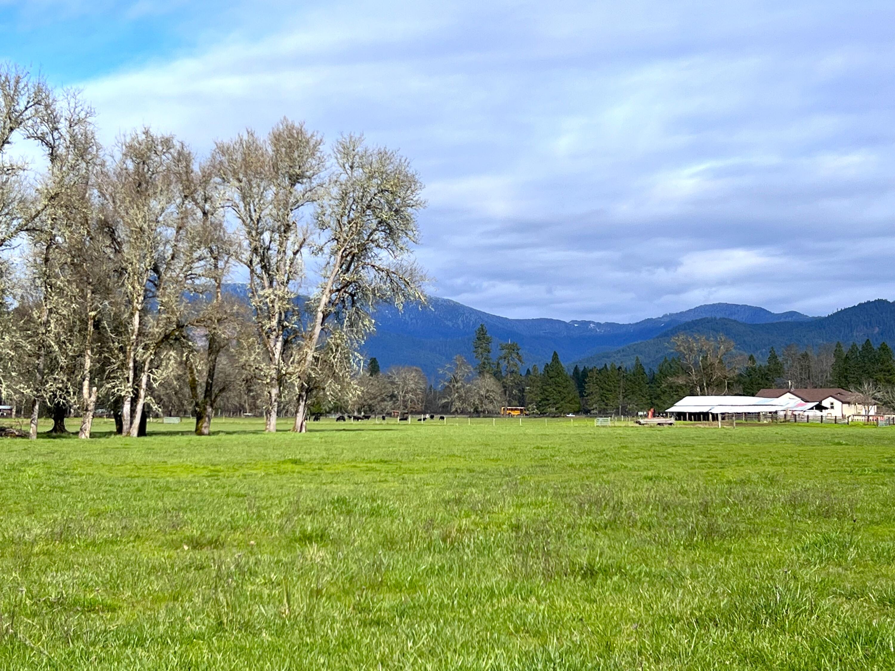 620 Dick George Road Cave Junction, OR 97523 - Photo 103 of 123 124