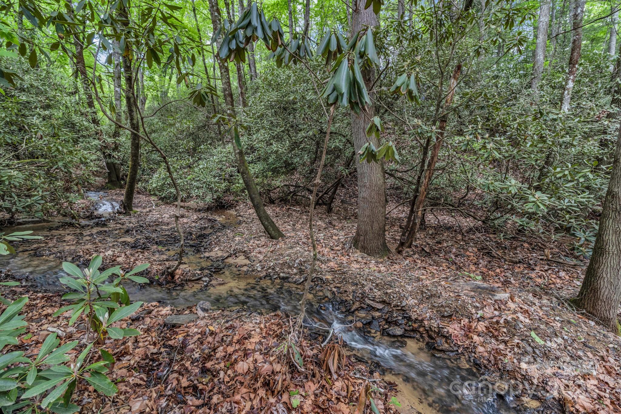 76 Drovers Lane Fairview, NC 28730 - Photo 16 of 25 a view of a forest with trees