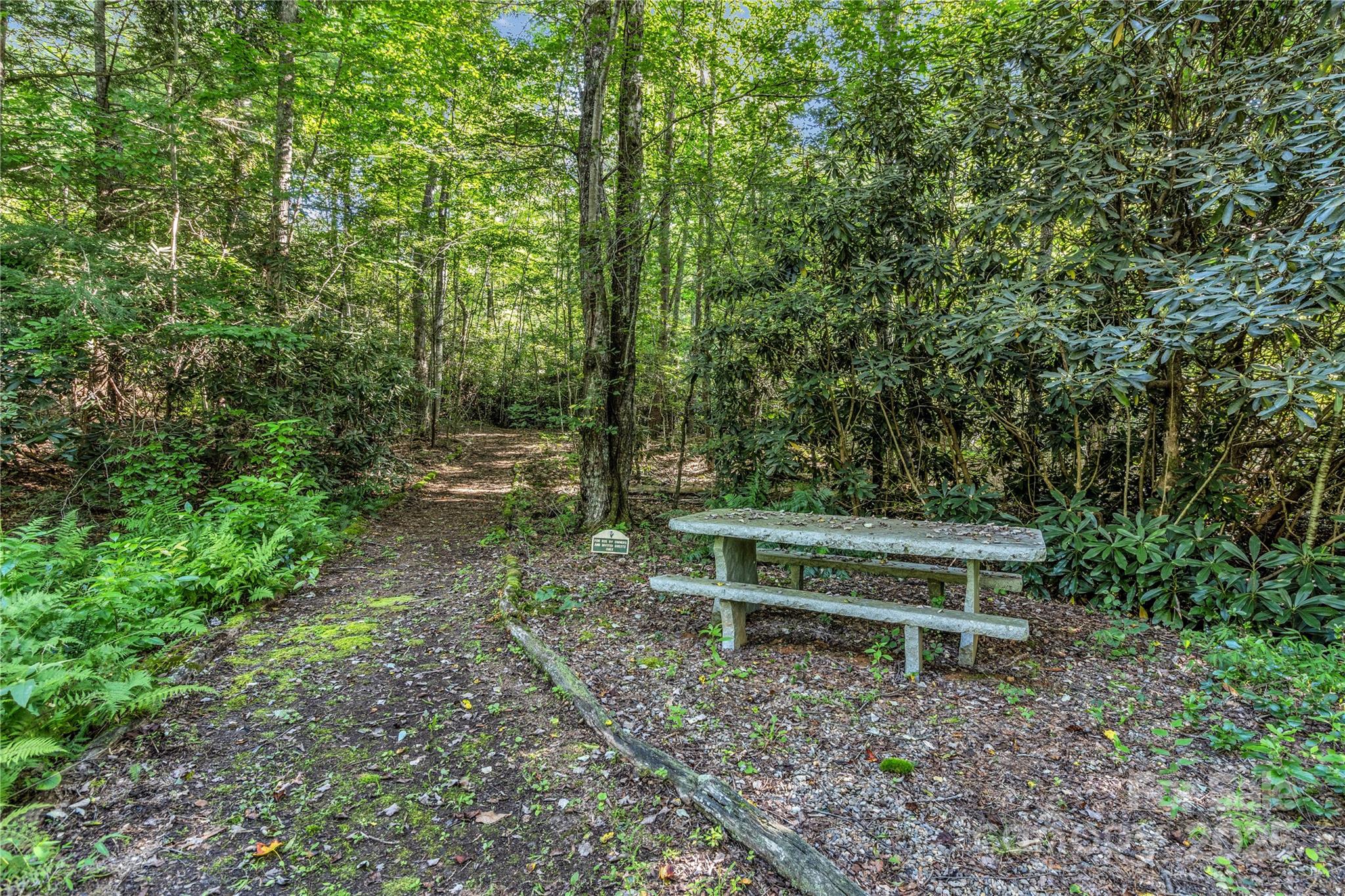 76 Drovers Lane Fairview, NC 28730 - Photo 22 of 25 a view of a bench in a garden