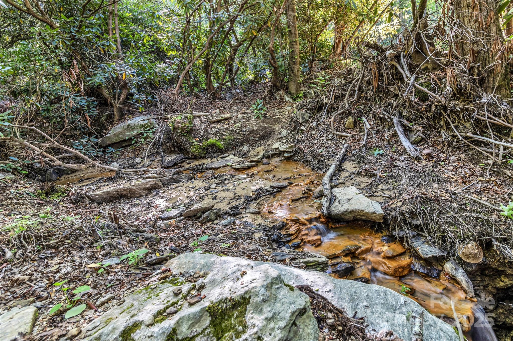 76 Drovers Lane Fairview, NC 28730 - Photo 24 of 25 a view of outdoor space