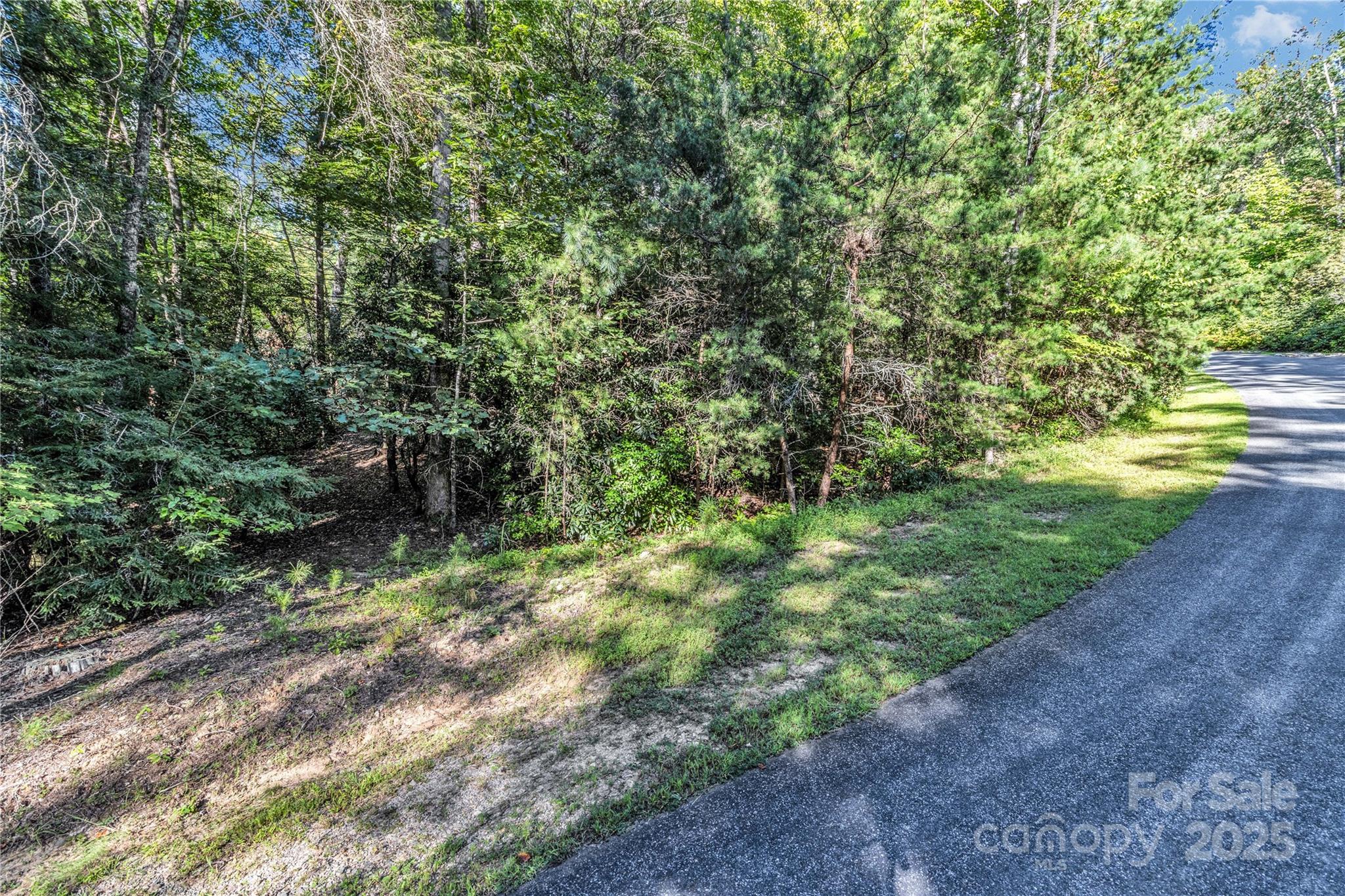 76 Drovers Lane Fairview, NC 28730 - Photo 25 of 25 a view of a yard with a tree
