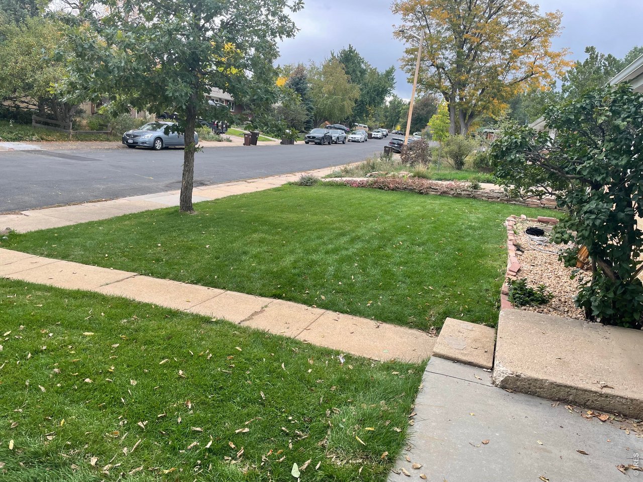 265 South 39th Street Boulder, CO 80305 - Photo 3 of 34 a park view with a fountain and a tree