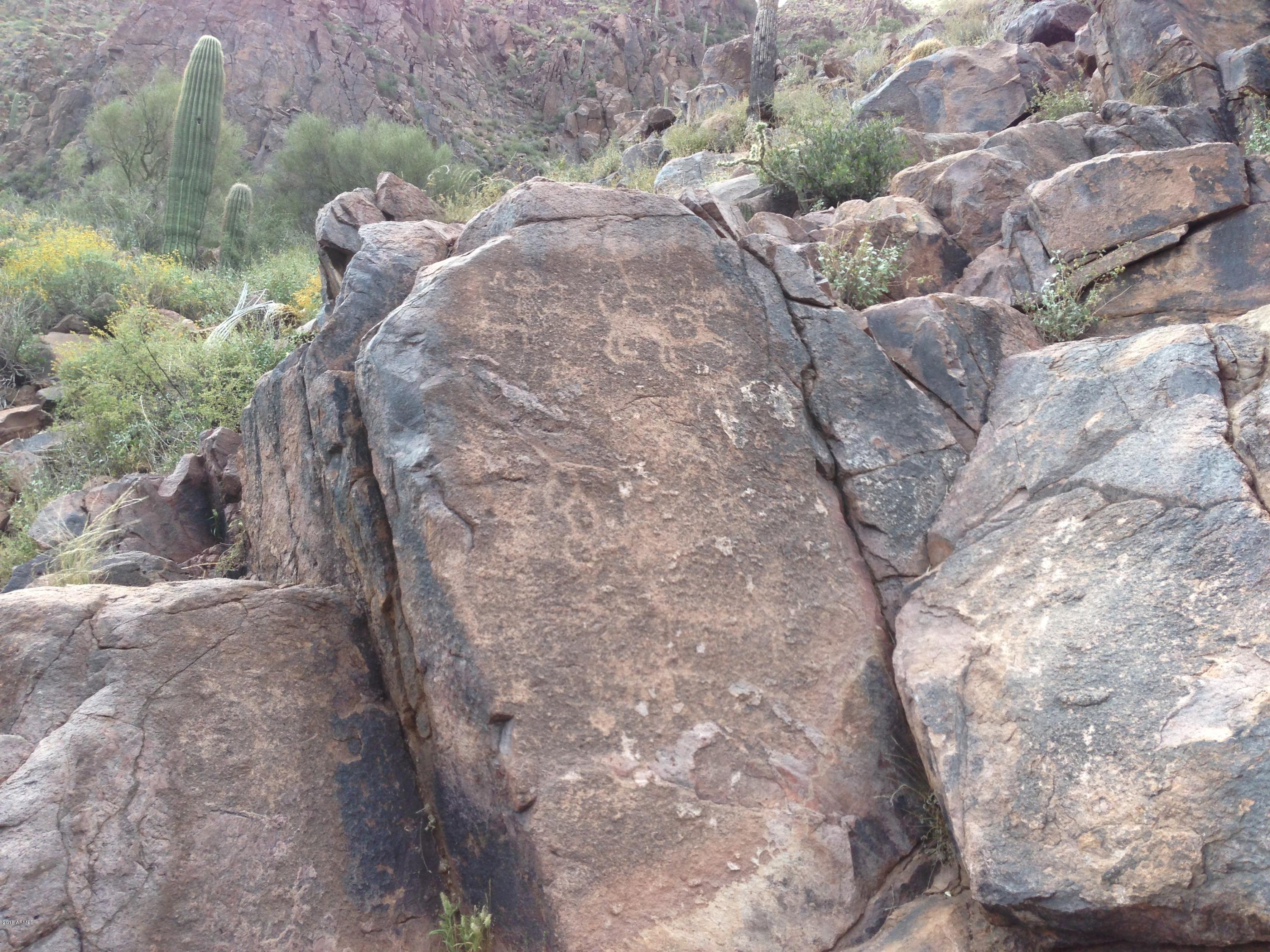 308 South Vista Road Apache Junction, AZ 85119 - Photo 14 of 38 Mountain Terriane
