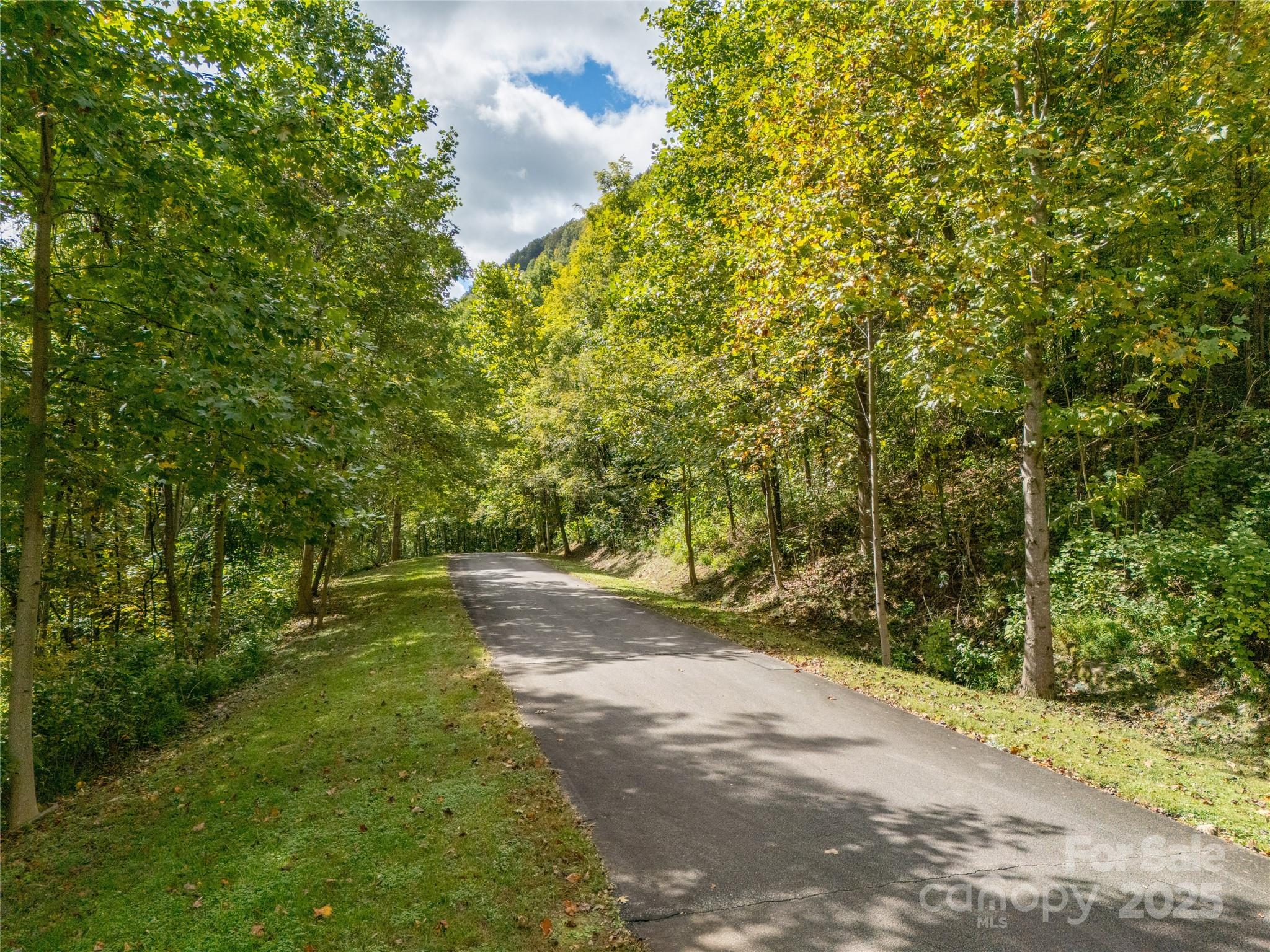 0 Deep Gap Farm Road East, Unit 2372021 Mill Spring, NC 28756 - Photo 13 of 35 a yard with a trees