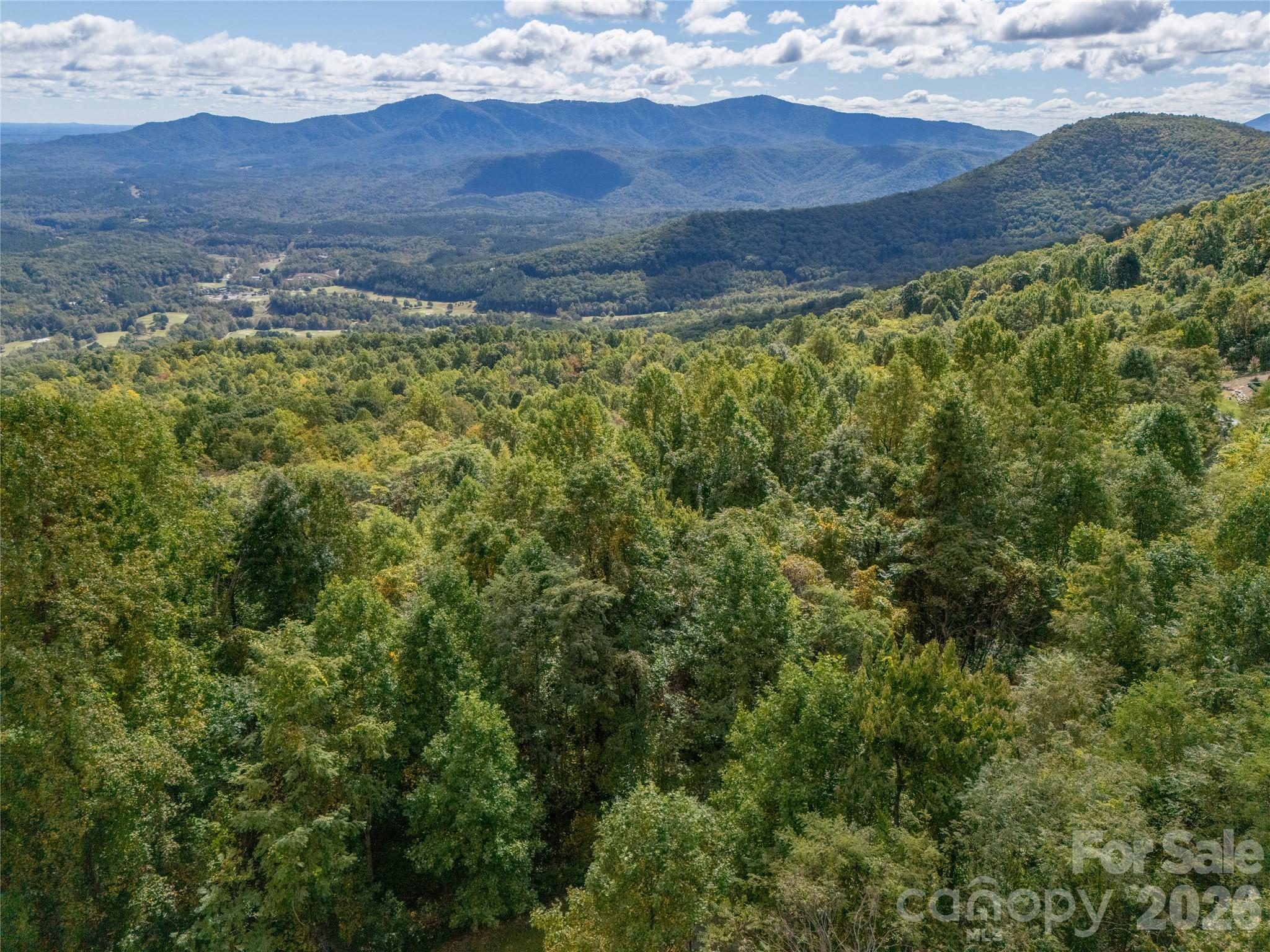 0 Deep Gap Farm Road East, Unit 2372021 Mill Spring, NC 28756 - Photo 14 of 35 a view of an outdoor space and mountain view