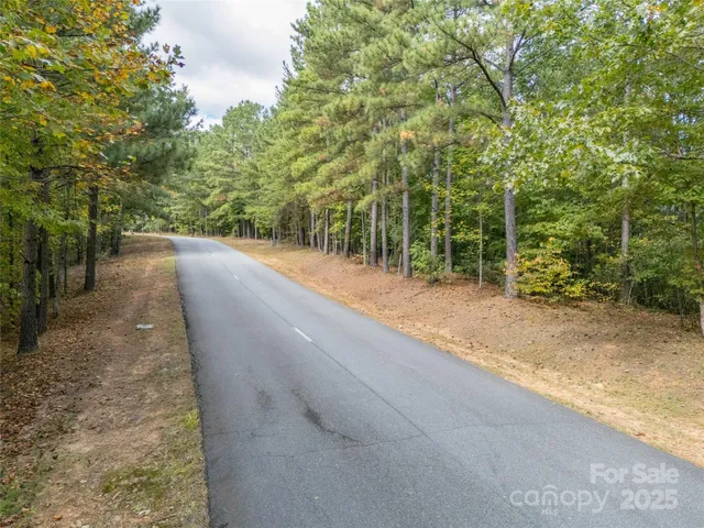a view of a road with a trees