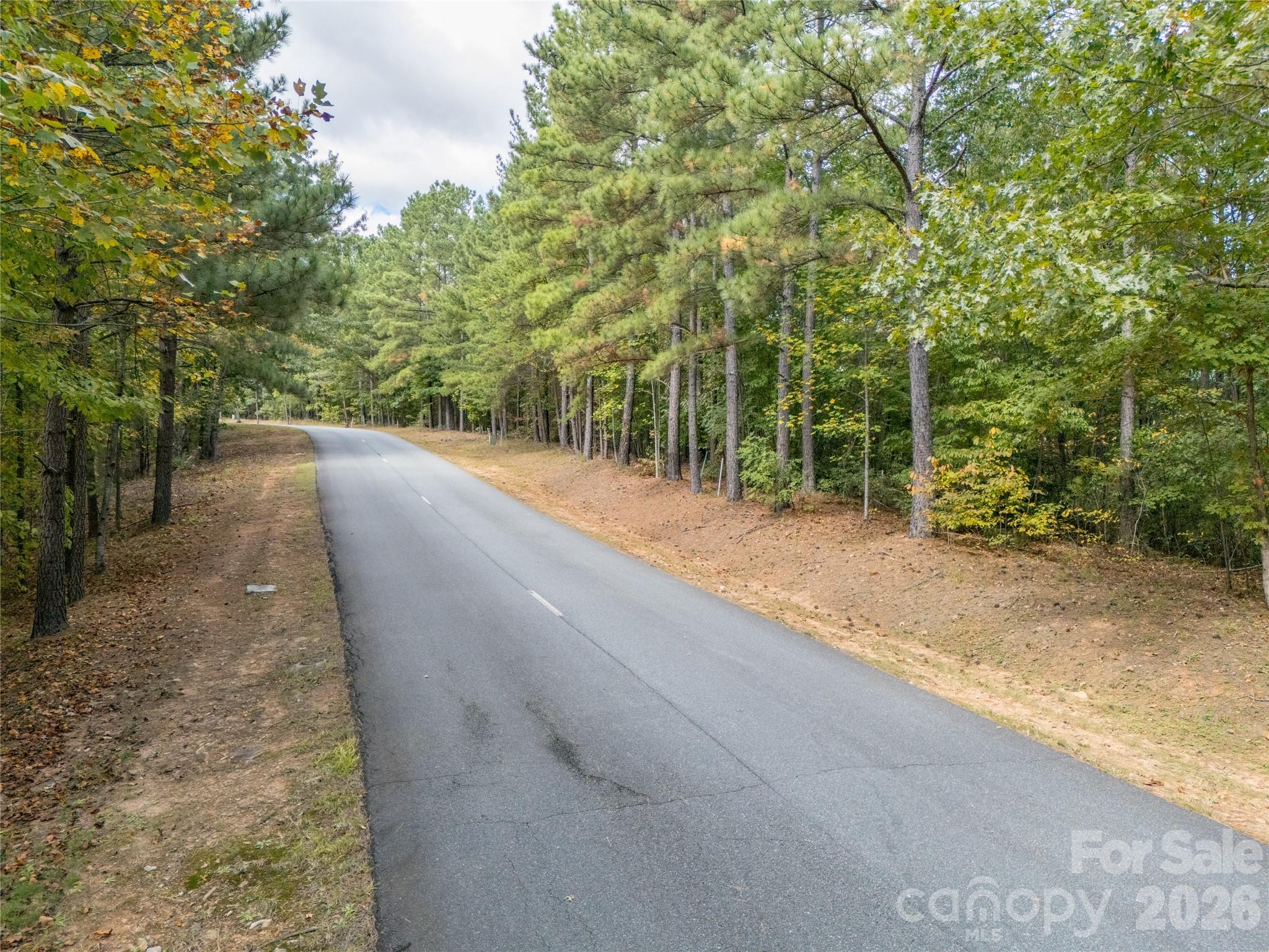 0 Deep Gap Farm Road East, Unit 2372021 Mill Spring, NC 28756 - Photo 20 of 35 a view of a road with trees in the background