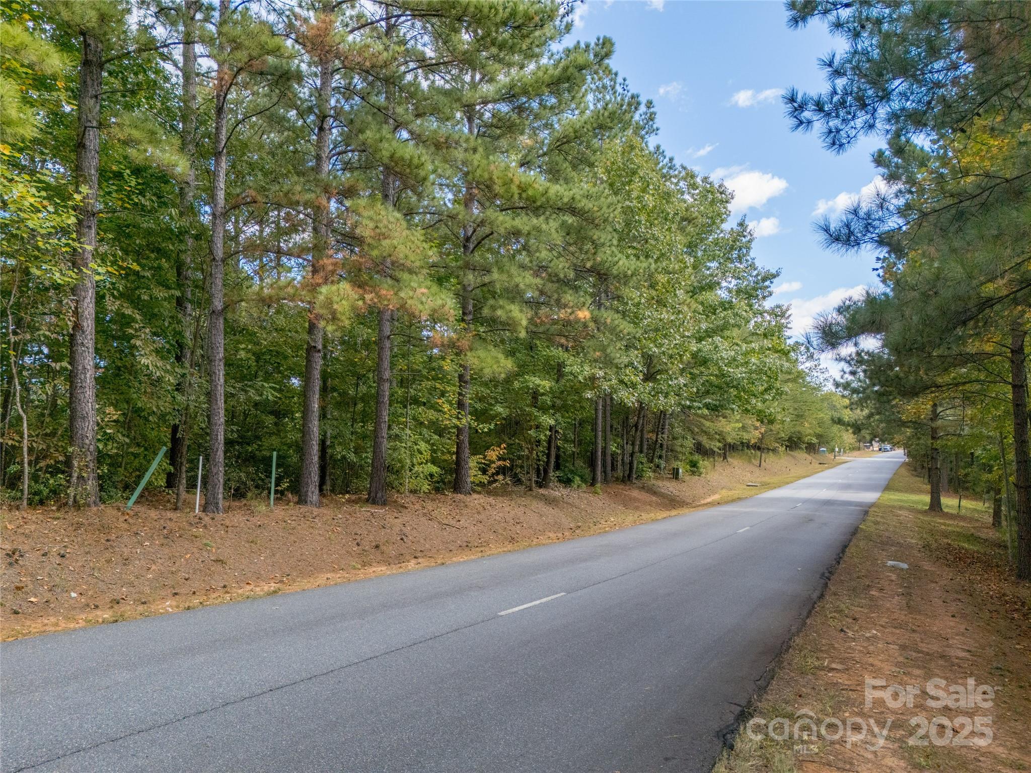 0 Deep Gap Farm Road East, Unit 2372021 Mill Spring, NC 28756 - Photo 21 of 35 a view of a road with a trees