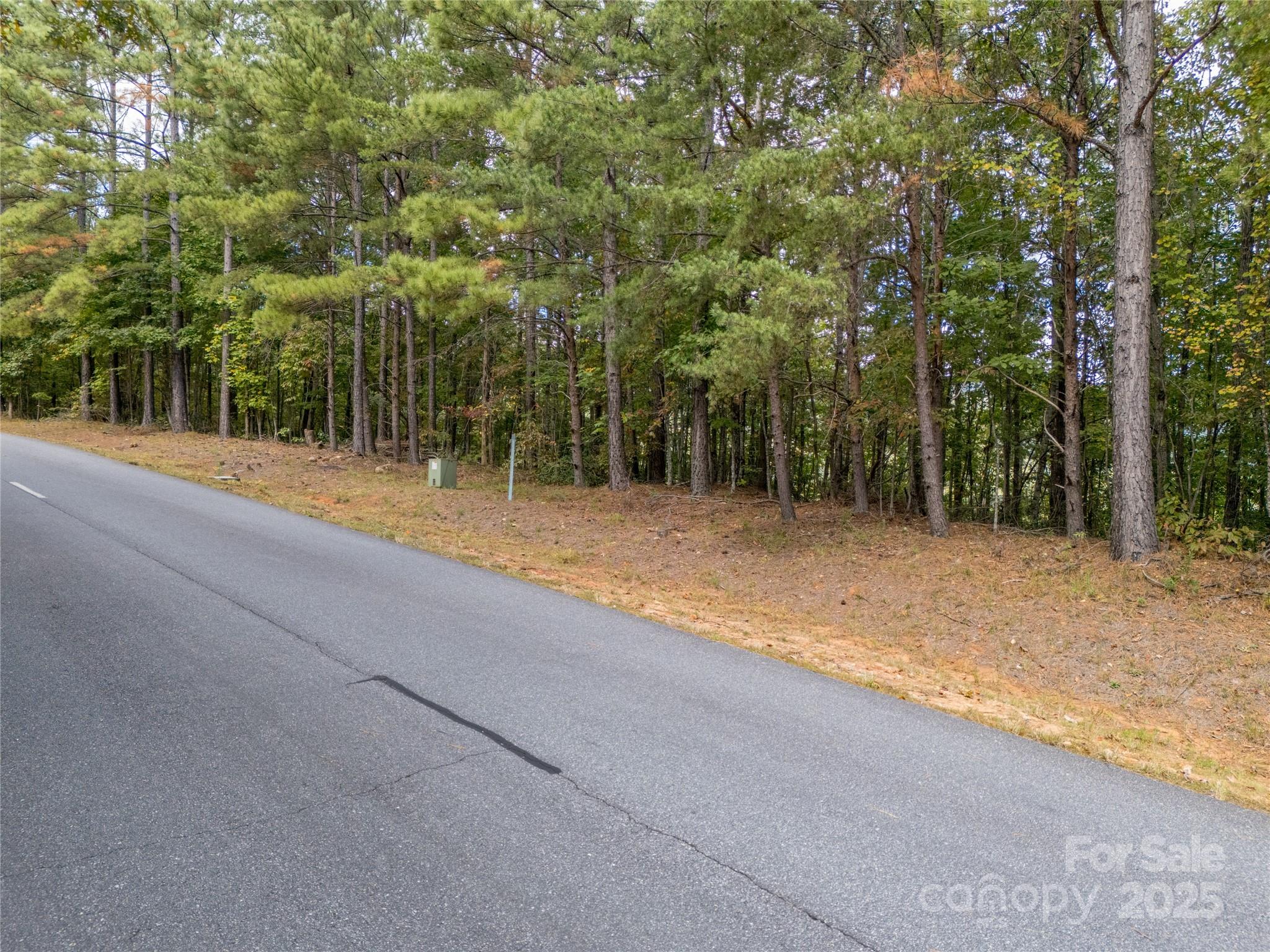 0 Deep Gap Farm Road East, Unit 2372021 Mill Spring, NC 28756 - Photo 22 of 35 a view of a yard with large trees