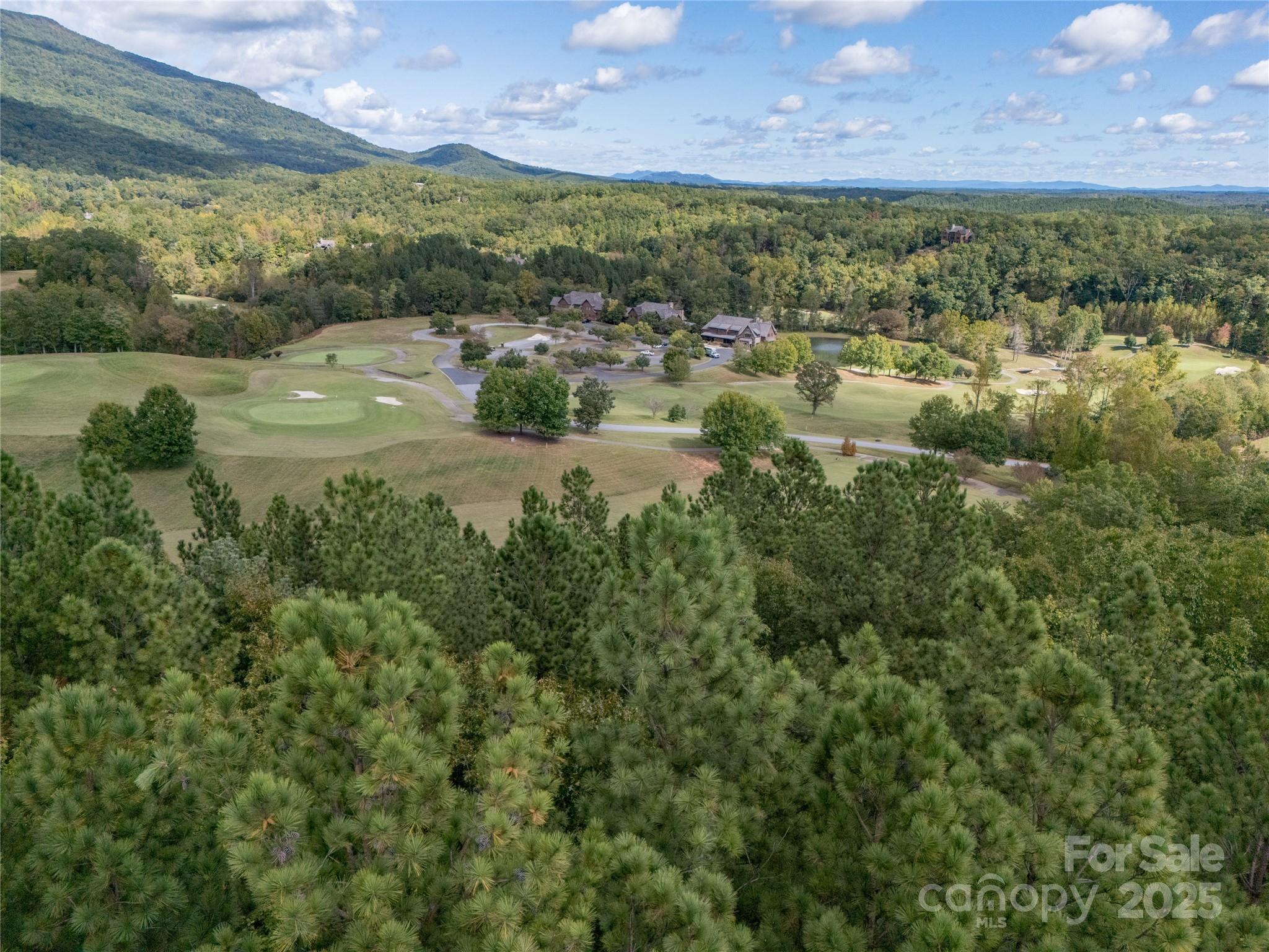 0 Deep Gap Farm Road East, Unit 2372021 Mill Spring, NC 28756 - Photo 23 of 35 a view of a lake with a city