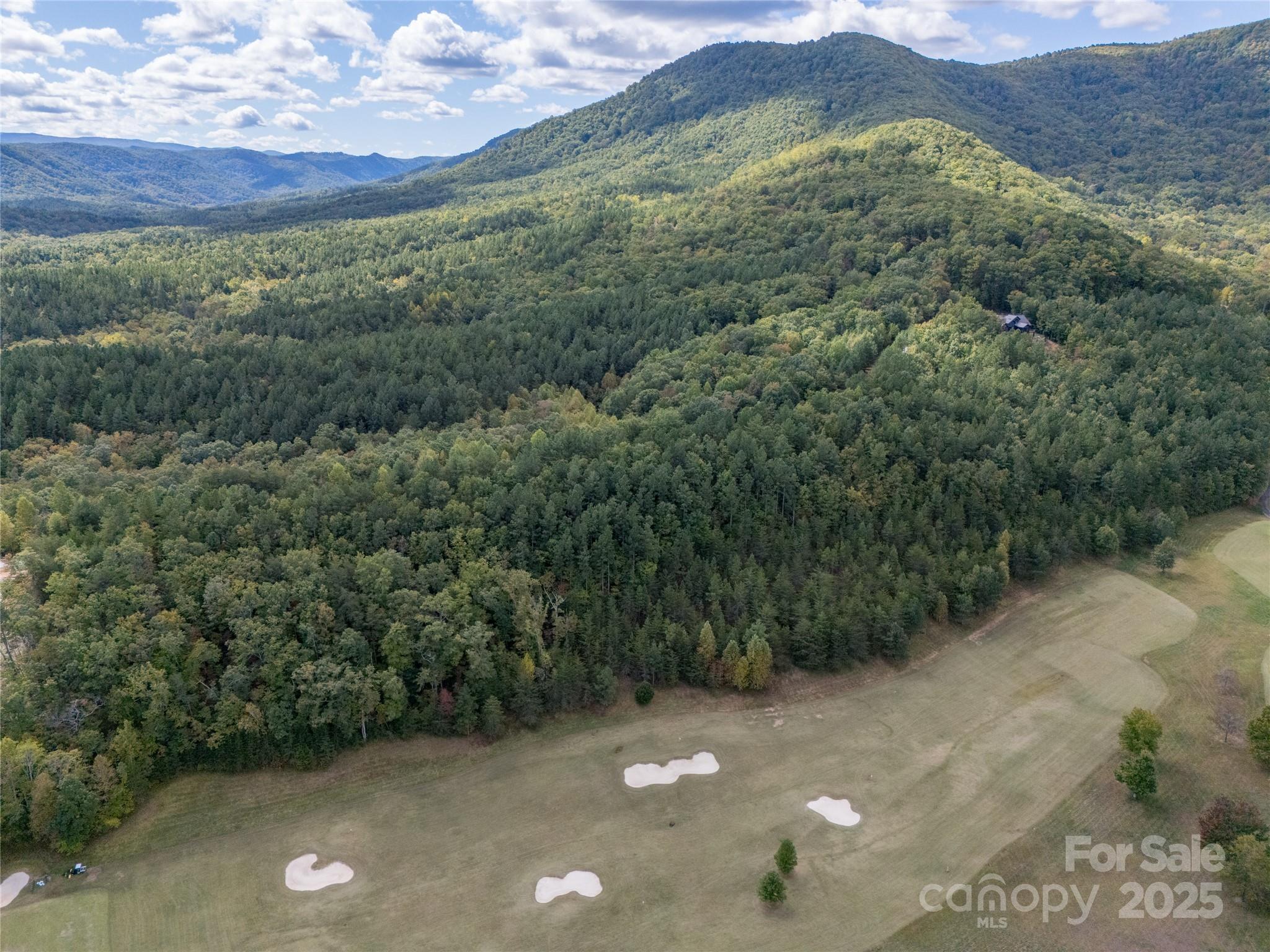 0 Deep Gap Farm Road East, Unit 2372021 Mill Spring, NC 28756 - Photo 24 of 35 a view of a big yard