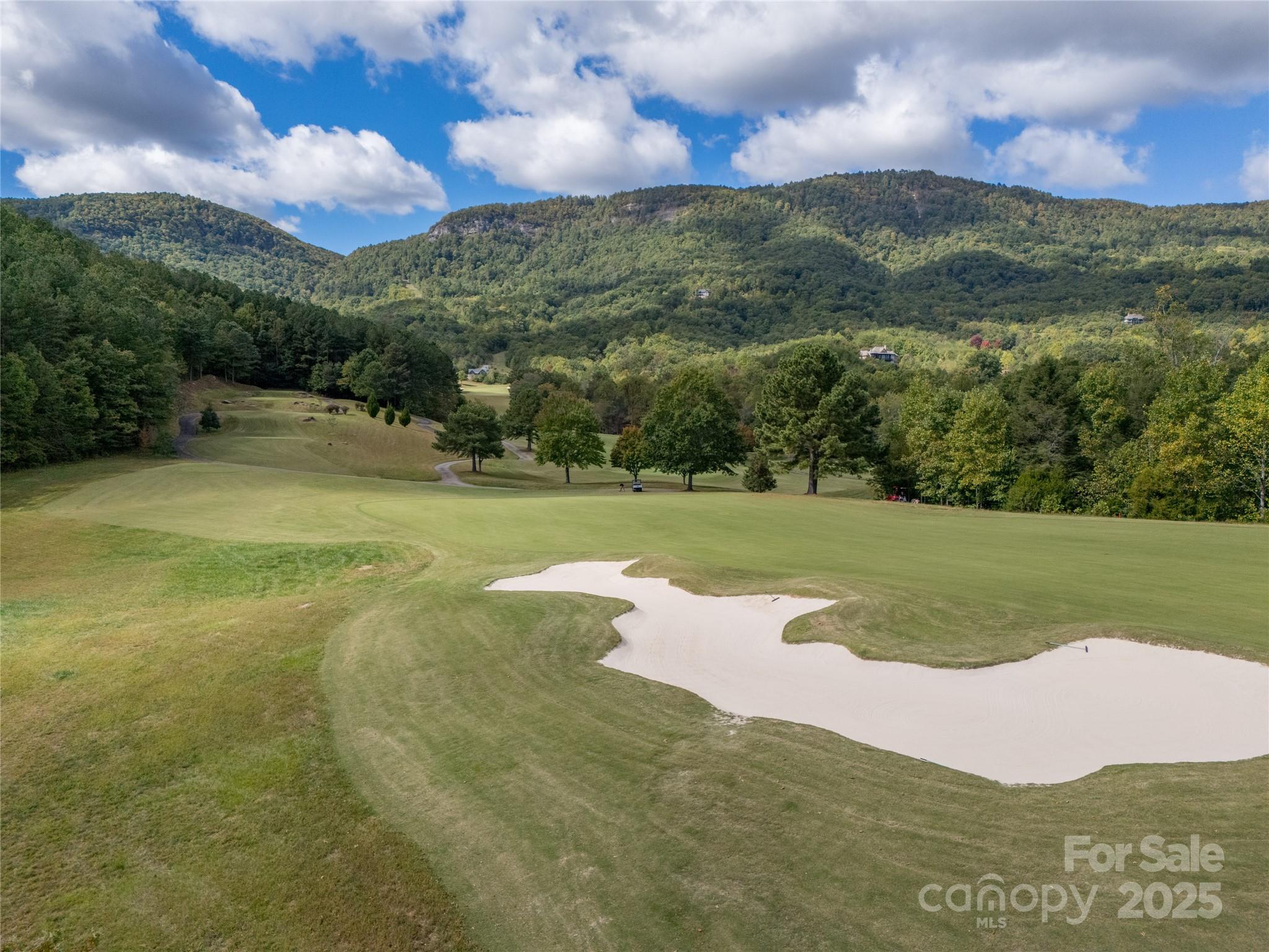 0 Deep Gap Farm Road East, Unit 2372021 Mill Spring, NC 28756 - Photo 27 of 35 a view of a green field with mountains in the background