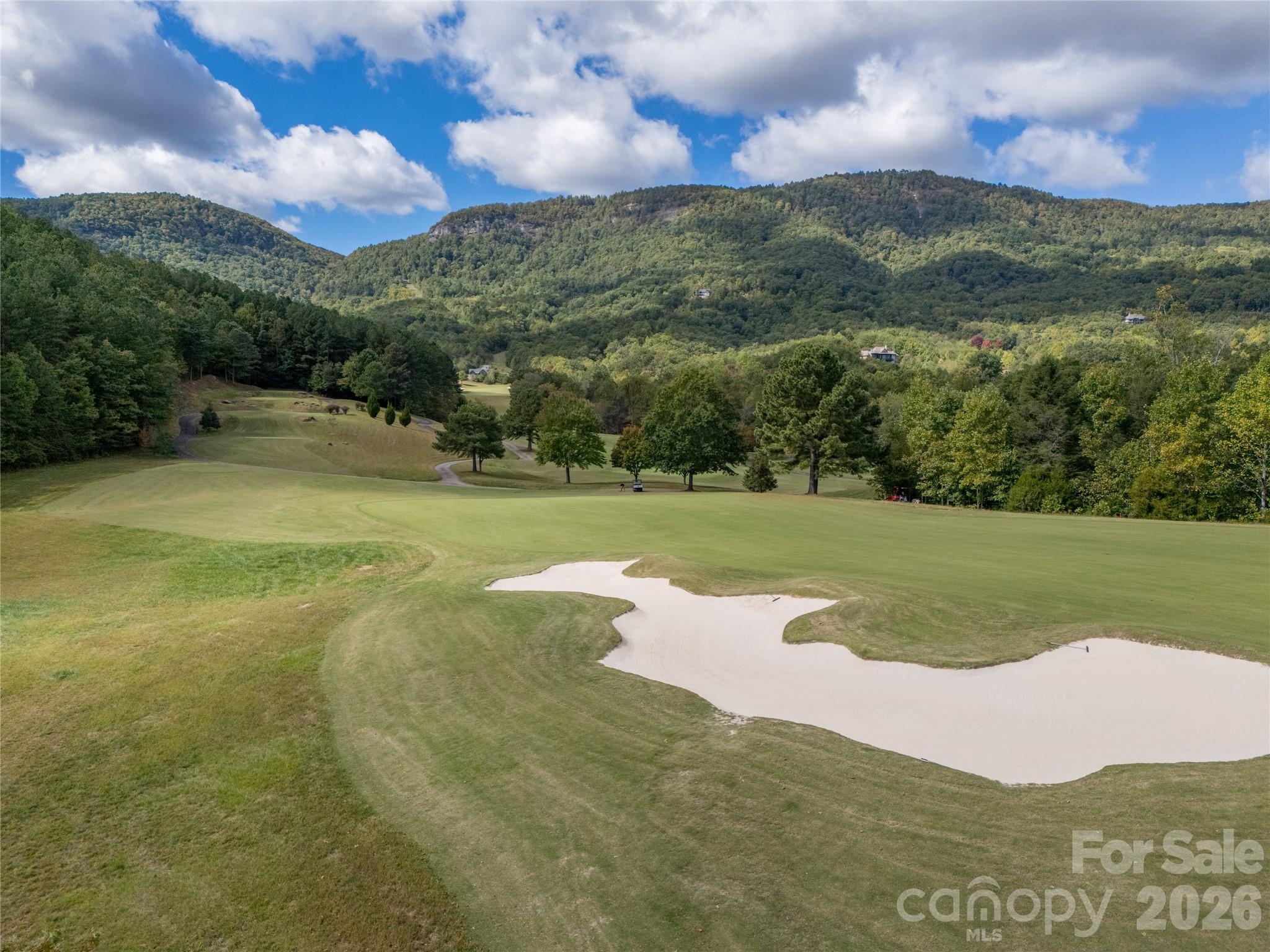 0 Deep Gap Farm Road East, Unit 2372021 Mill Spring, NC 28756 - Photo 27 of 35 a view of a green field with mountains in the background