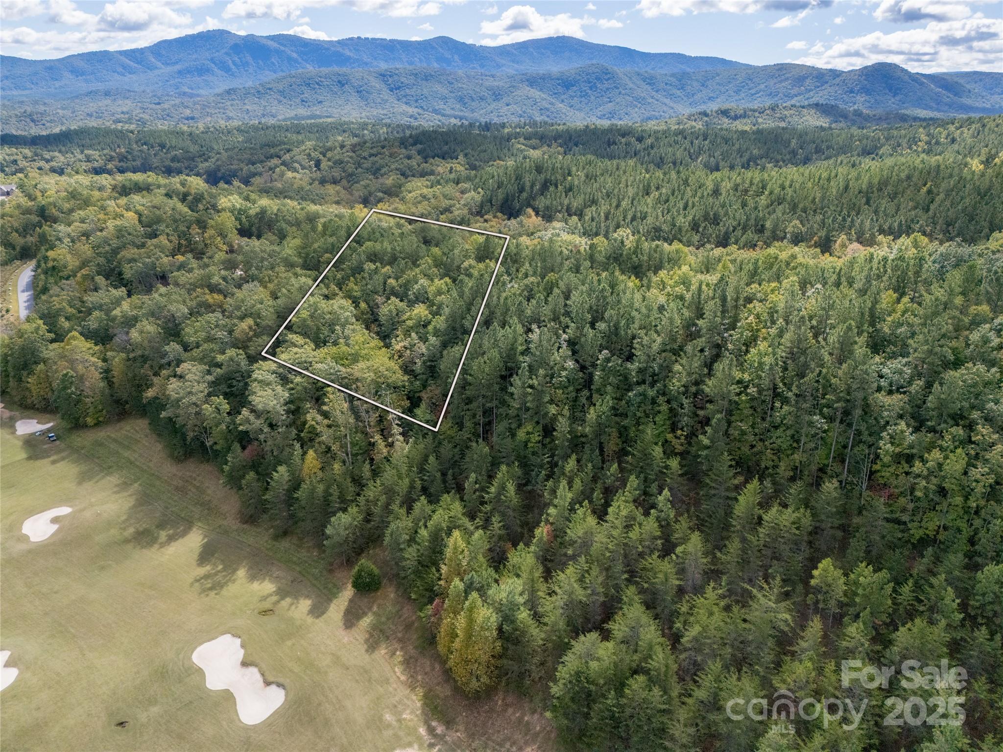 0 Deep Gap Farm Road East, Unit 2372021 Mill Spring, NC 28756 - Photo 29 of 35 a view of a lush green forest with trees and houses