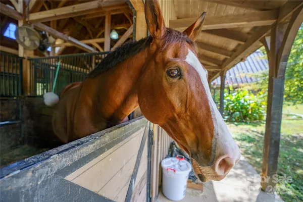 a view of a fountain in the backyard of the house