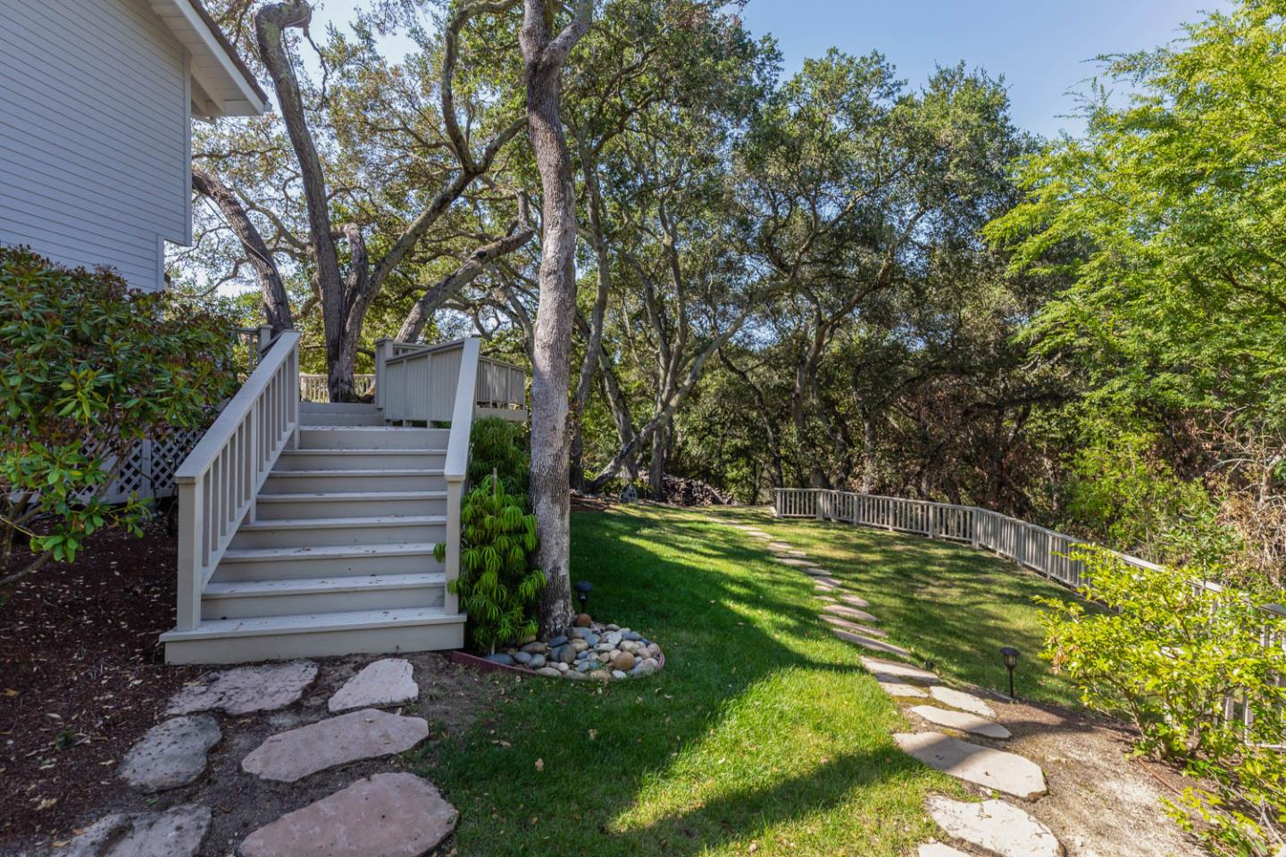 340 Jane Drive Woodside, CA 94062 - Photo 39 of 48 a view of a backyard with plants and a large tree