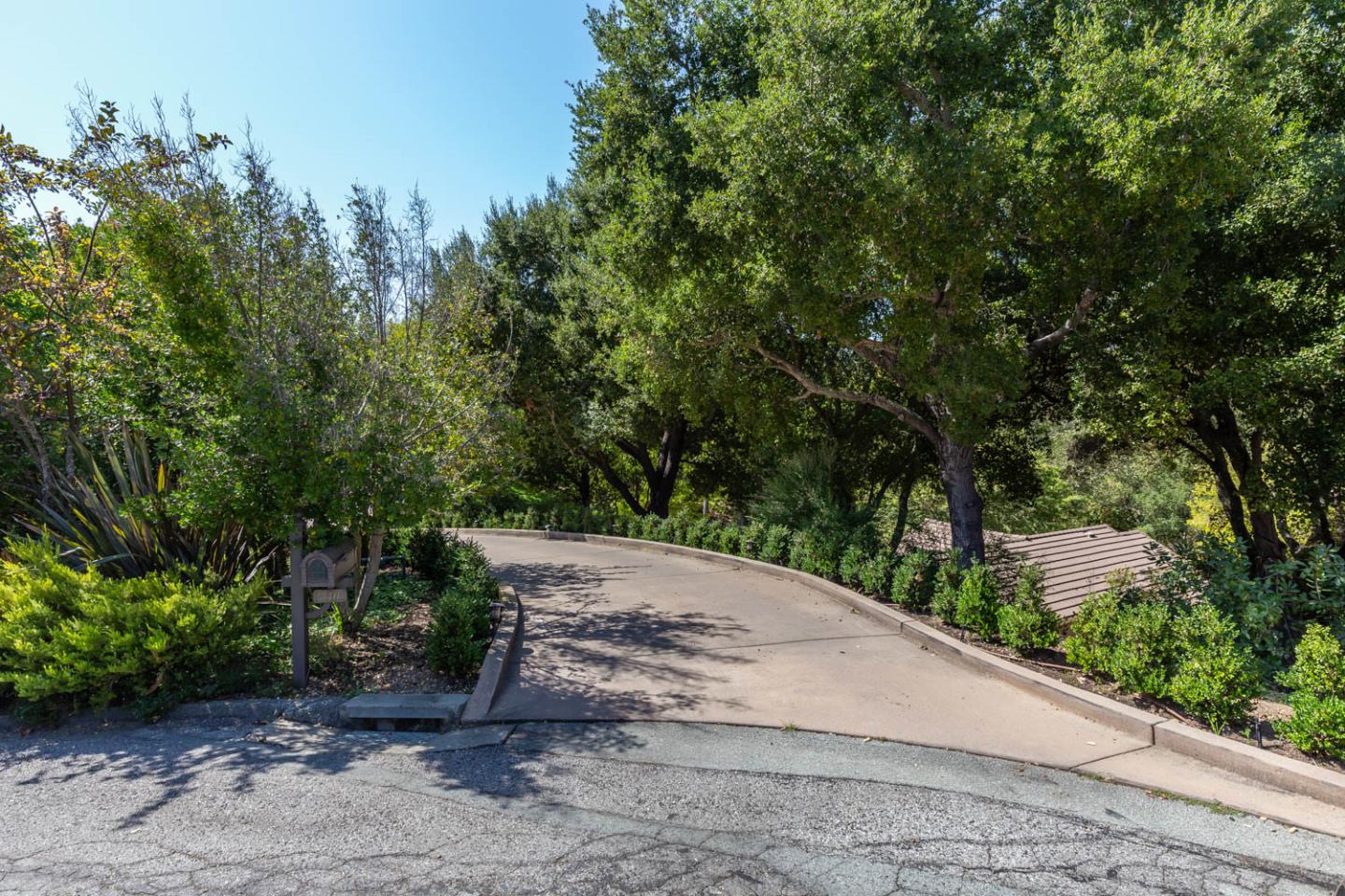 340 Jane Drive Woodside, CA 94062 - Photo 44 of 48 a view of a park with large trees
