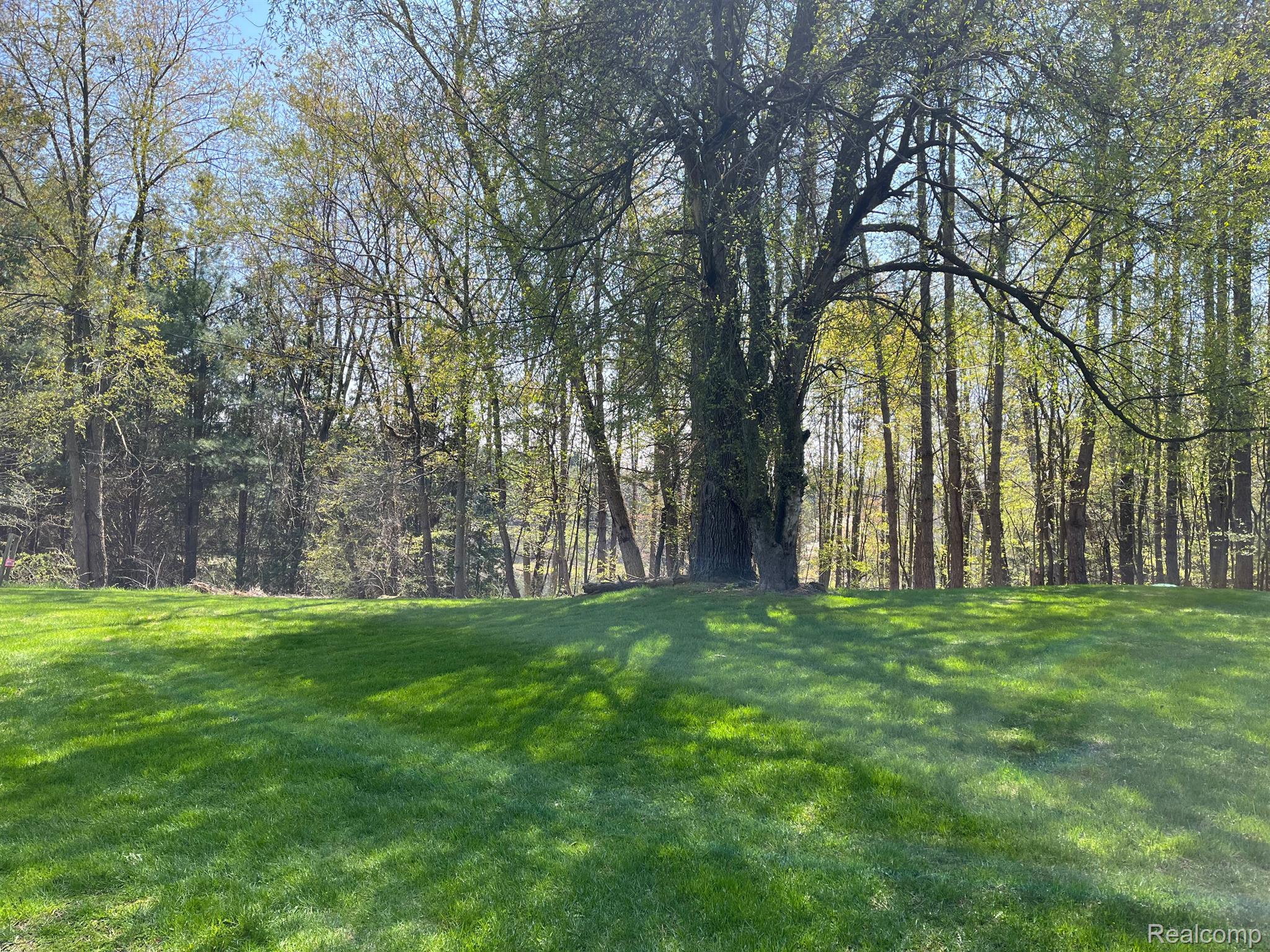 4266 Casey Road Dryden, MI 48428 - Photo 9 of 35 Gallery Image 9