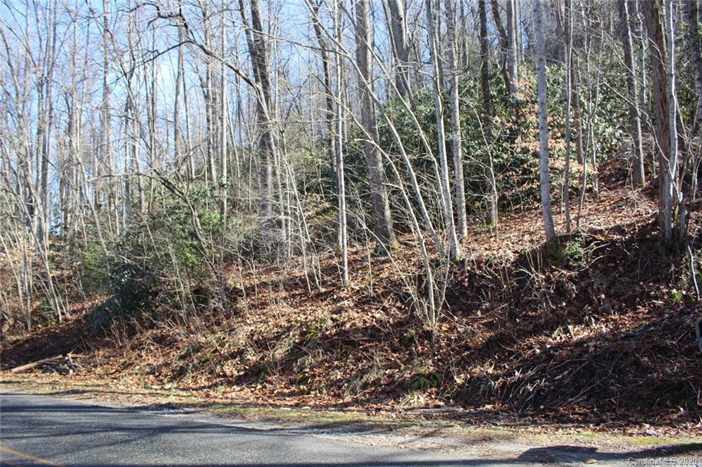 1063 Kilpatrick Road, Unit 5 Hendersonville, NC 28739 - Photo 1 of 13 Gallery Image 1