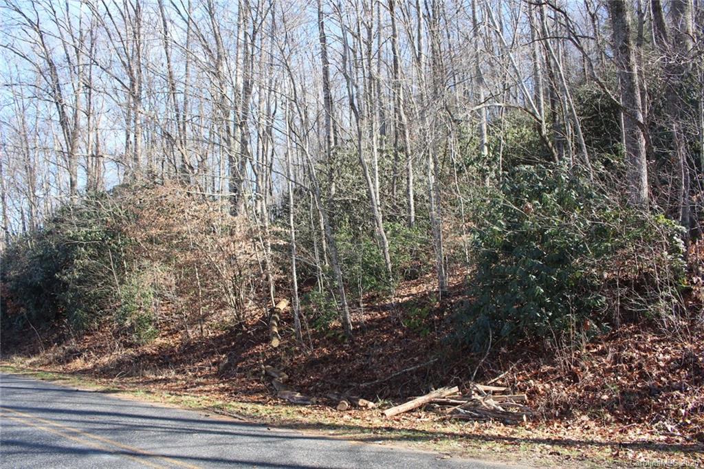 1063 Kilpatrick Road, Unit 5 Hendersonville, NC 28739 - Photo 7 of 13 Gallery Image 7